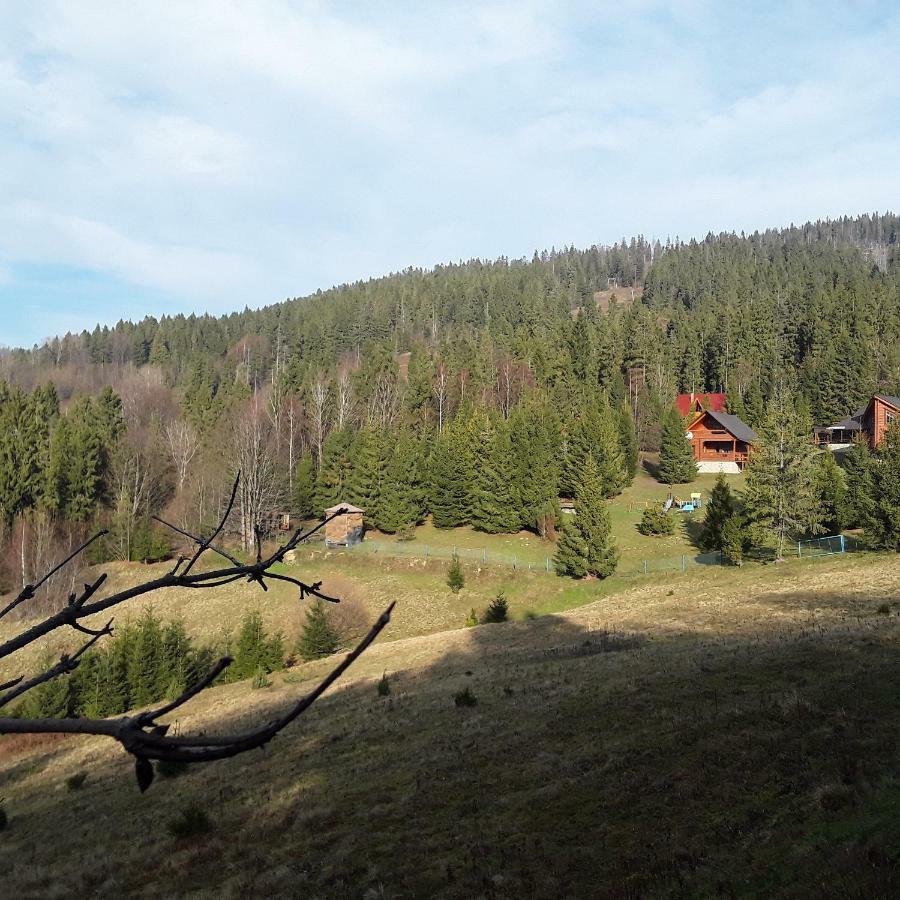 Oryavchik Country House Oryavchyk Exterior photo